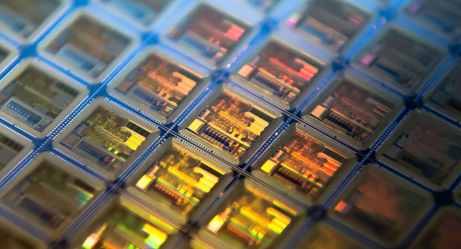 Close-up of semiconductor chips